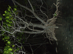 2009.07.9-13 050.jpg
